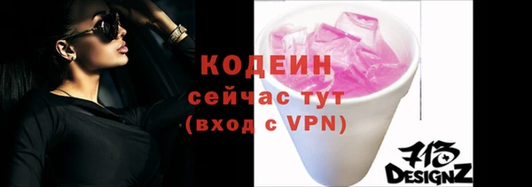 хмурый Абаза
