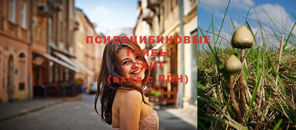 винт Алзамай