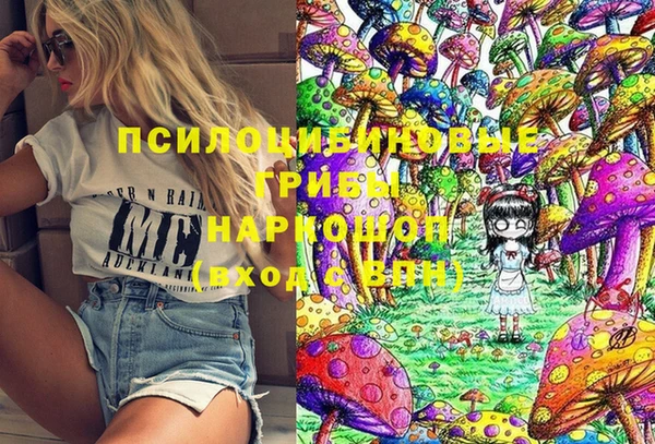винт Алзамай
